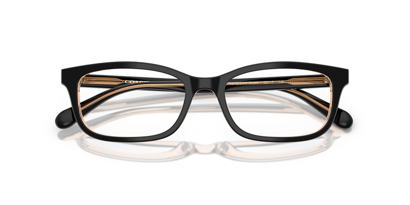 Coach HC6174 in Black/Transparent Blush / Demo Lens (5781) - Alternate View