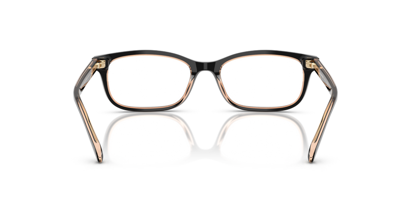 Coach HC6174 in Black/Transparent Blush / Demo Lens (5781) - Alternate View