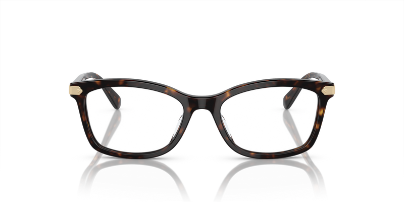 Coach HC6219U in Dark Tortoise / Demo Lens (5120) - Alternate View