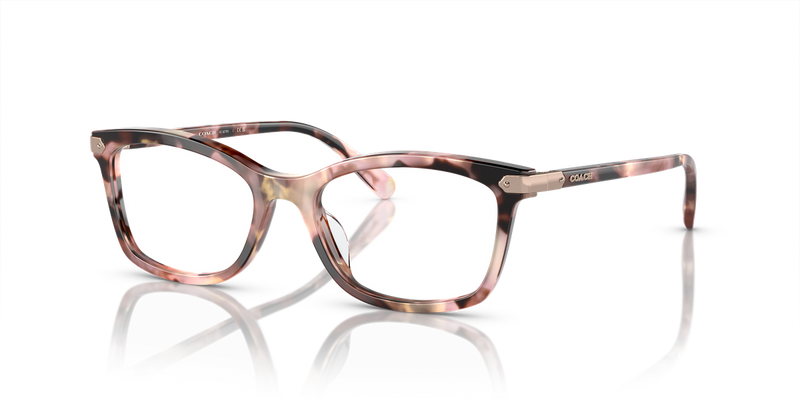Coach HC6219U in Rose Pearl Tortoise / Demo Lens (5528) - Alternate View