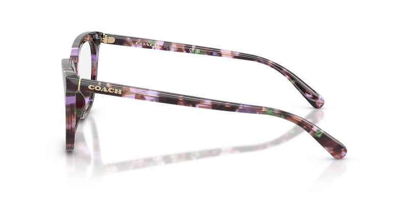 Coach HC6222U in Amethyst Pearl Tortoise / Demo Lens (5843) - Back View