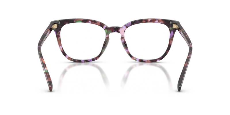 Coach HC6222U in Amethyst Pearl Tortoise / Demo Lens (5843) - Temple Detail