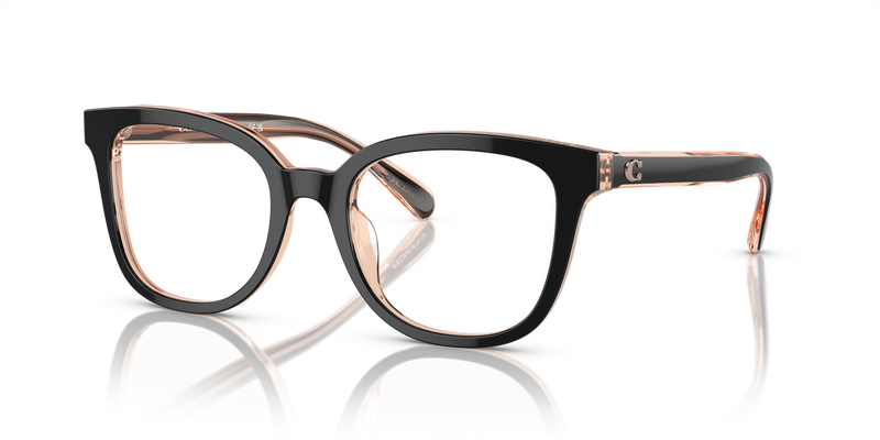 Coach HC6225U in Black/Transparent Blush / Demo Lens (5781) - Front View