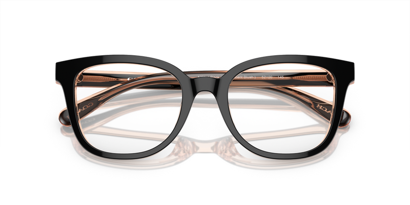 Coach HC6225U in Black/Transparent Blush / Demo Lens (5781) - Side View