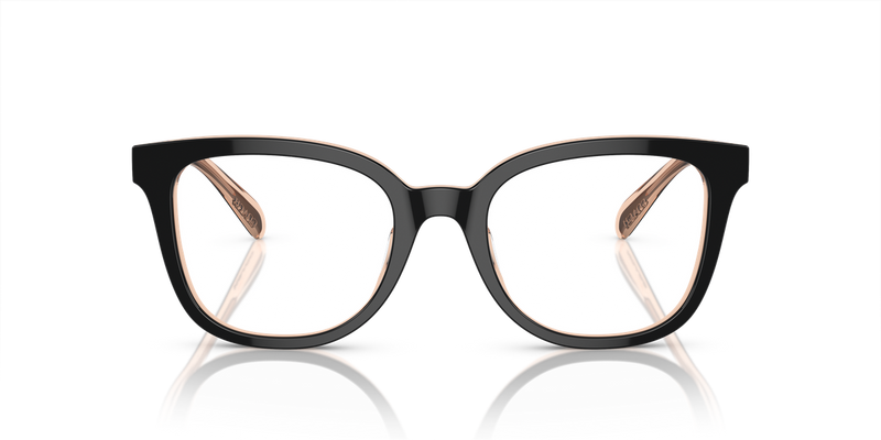 Coach HC6225U in Black/Transparent Blush / Demo Lens (5781) - Alternate View