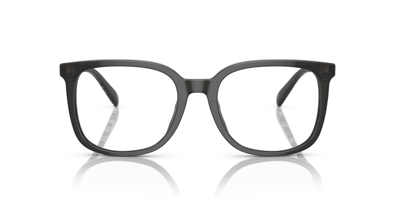 Coach HC6227U in Transparent Dark Grey / Demo Lens (5793) - Alternate View