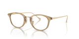 Transparent Fawn / Demo Lens (5736)