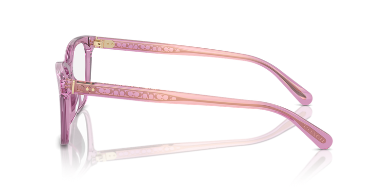 Coach HC6235U in Transparent Amethyst / Demo Lens (5823) - Alternate View