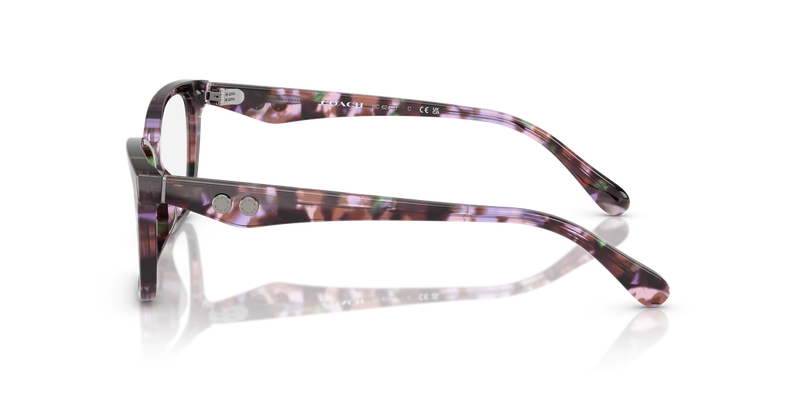 Coach HC6248U in Amethyst Pearl Tortoise / Demo Lens (5843) - Back View