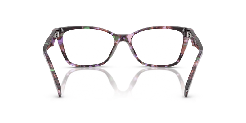 Coach HC6248U in Amethyst Pearl Tortoise / Demo Lens (5843) - Temple Detail
