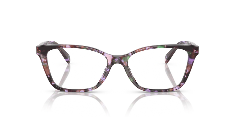 Coach HC6248U in Amethyst Pearl Tortoise / Demo Lens (5843) - Alternate View
