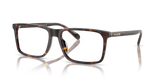 Dark Tortoise / Demo Lens (5120)