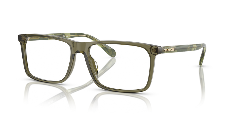 Coach HC6251U in Transparent Olive / Demo Lens (5848) - Alternate View