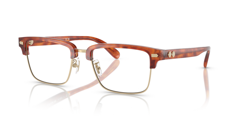 Coach HC6253 in Caramel Tortoise / Demo Lens (5774) - Alternate View
