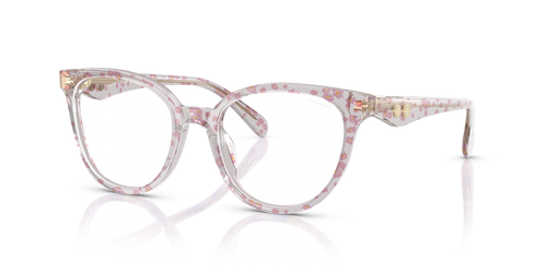 Transparent Pink Floral Print / Demo Lens (5953SB)