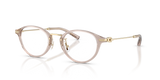 Transparent Khaki / Demo Lens (5887)
