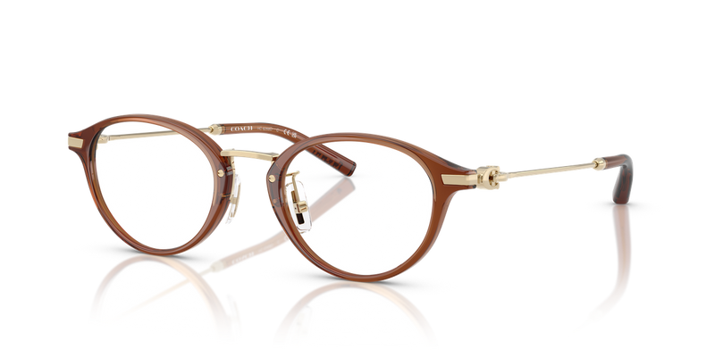 Coach HC6268D in Transparent Brown - Alternate View