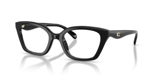 Black / Demo Lens (5002)