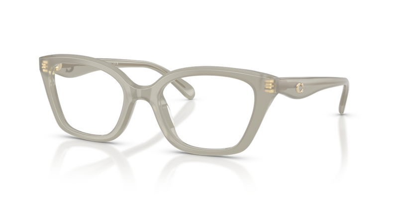 Coach HC6270U in Milky Eucalyptus / Demo Lens (5905) - Alternate View