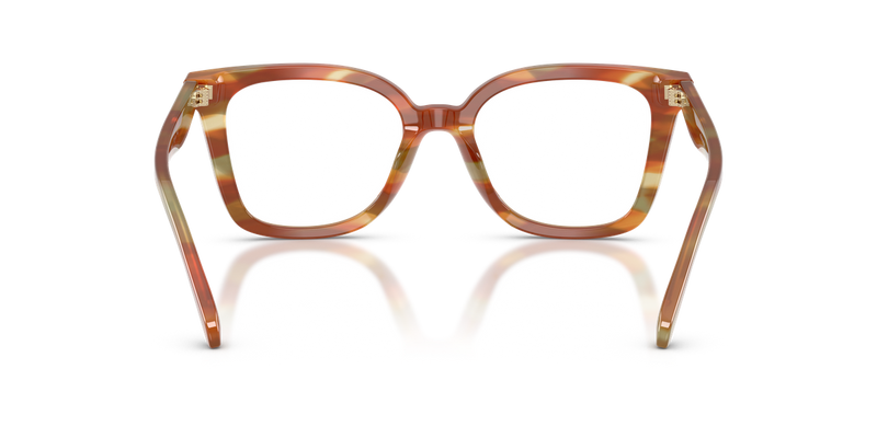 Coach HC6274U in Striated Bark/Moss / Demo Lens (5898) - Alternate View