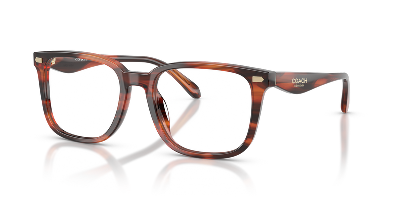 Coach HC6276U in Striated Caramel / Demo Lens (5906) - Alternate View