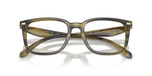 Striped Olive / Demo Lens (5907)