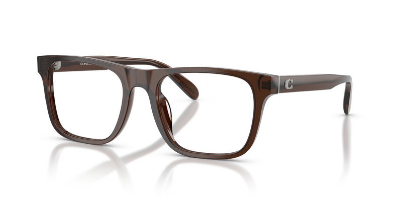 Coach HC6277U in Transparent Brown / Demo Lens (5911) - Alternate View