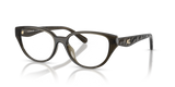 Transparent Oak / Demo Lens (5400)