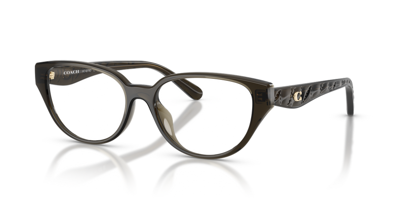 Coach HC6279D in Transparent Oak / Demo Lens (5400) - Alternate View