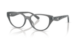 Milky Dark Grey / Demo Lens (5918)