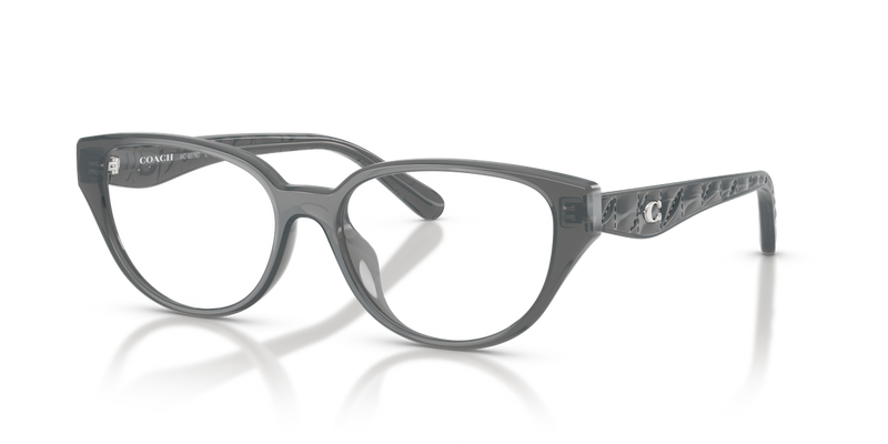 Coach HC6279D in Milky Dark Grey / Demo Lens (5918) - Alternate View