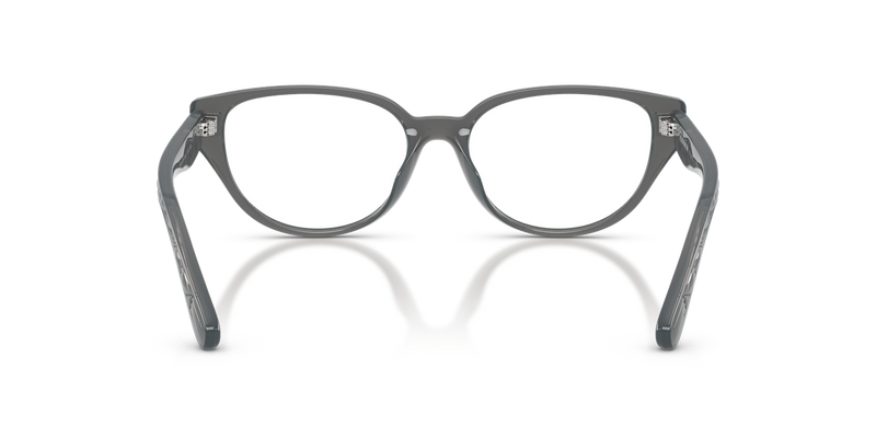 Coach HC6279D in Milky Dark Grey / Demo Lens (5918) - Alternate View