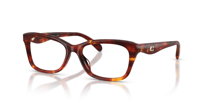 Coach HC6285F in Walnut Tortoise - Alternate View