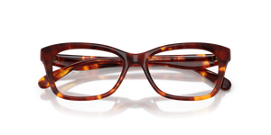 Walnut Tortoise / Demo Lens (5938)