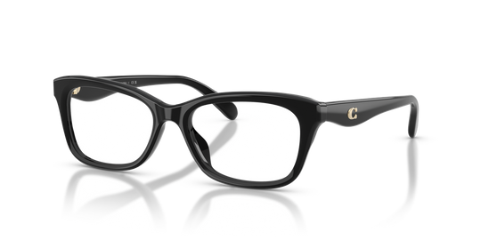 Coach HC6285U - Black / Demo Lens (5002)