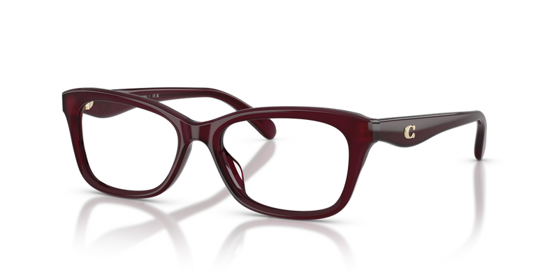 Coach HC6285U in Milky Merlot - Alternate View