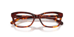 Walnut Tortoise / Demo Lens (5938)
