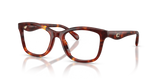 Walnut Tortoise / Demo Lens (5938)