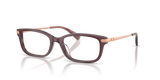 Transparent Iris / Demo Lens (5942)