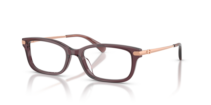 Coach HC6287U in Transparent Iris - Alternate View