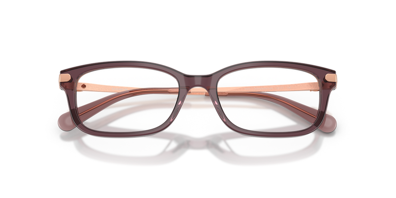 Coach HC6287U in Transparent Iris - Alternate View