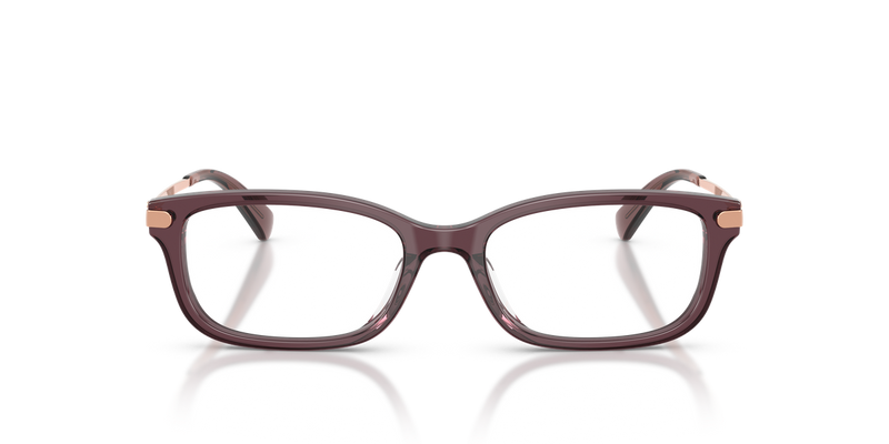 Coach HC6287U in Transparent Iris - Alternate View