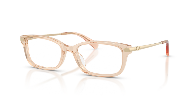 Coach HC6287U in Transparent Champagne - Alternate View