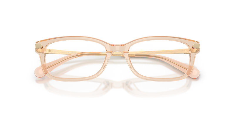 Coach HC6287U in Transparent Champagne - Alternate View