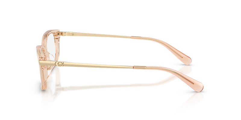 Coach HC6287U in Transparent Champagne - Alternate View