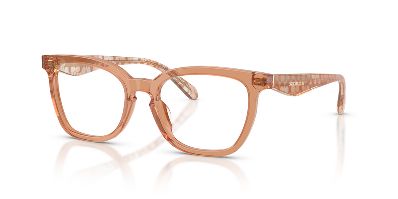 Coach HC6288U in Transparent Brown / Demo Lens (5937) - Alternate View