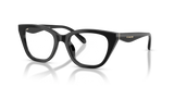 Black / Demo Lens (5002)