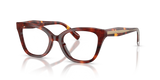 Walnut Tortoise / Demo Lens (5938)