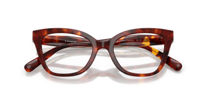 Walnut Tortoise / Demo Lens (5938)