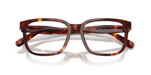 Walnut Tortoise / Demo Lens (5938)
